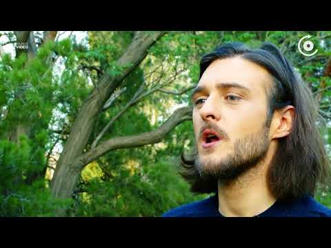 გურიზმები - პოლიტკორექტულობის მანკიერი მხარეები #POSTV