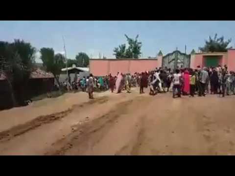 Oromo Protests In Oromia Hararagee Bahaa Magalaa Haramayaa Akkanatii Jirtii