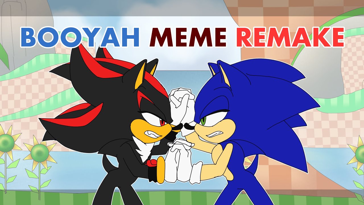 BOOYAH MEME Animation [REMAKE] Sonic and Shadow the Hedgehog FLASH WARNING  