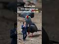 Funny interaction between Man and Manly bird #shorts #funnyanimals #birds
