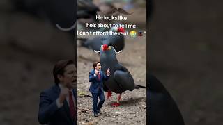 Funny interaction between Man and Manly bird #shorts #funnyanimals #birds