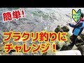 簡単！ブラクリ釣りにチャレンジ！【かめや釣具】