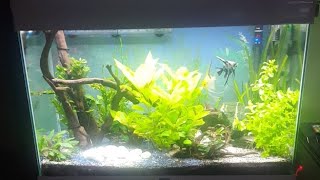 Plafoniere Fai Da Te Per Acquari : Acquario fai da te 免费在线视频最佳电影电视节目 viveos