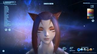 Details Final Fantasy XIV: Character Creation Benchmark Version Guide