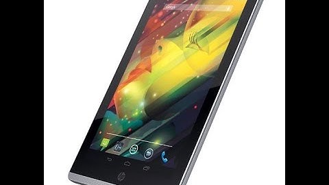 The HP Slate6 VoiceTab