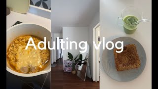 VLOG | How much I spend in a week as a working adult, lots of cooking 🍜