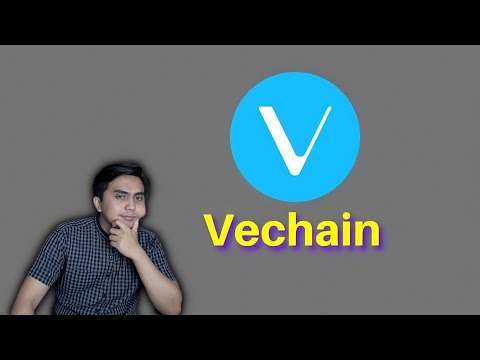 Bahas Vechain ($VET) Potensi & Risikonya LENGKAP !!