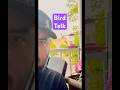 Bird Talk! #hummingbird #songbirds #comedy