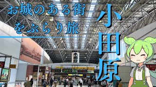 【小田原観光】東京から日帰りで満喫！お城・カフェ・海の絶景を徒歩で巡る旅
