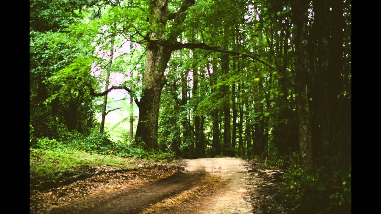 Hay House Celebration Meditations YouTube