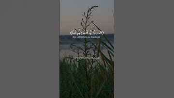 القرأن|سورة القصص |القارئ ياسر الدوسري #viral #اكسبلور