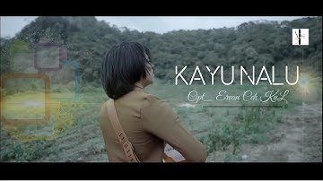 Ervan ceh kuL - Kayu nalu ( Original video )