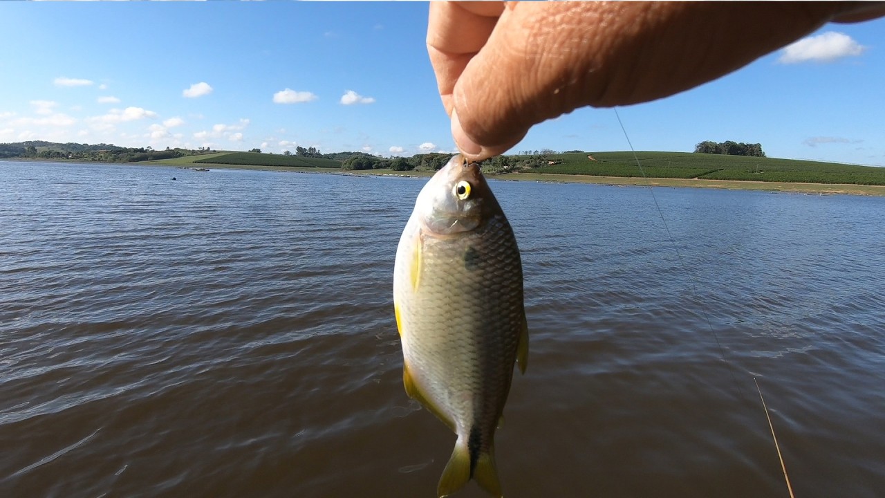 PESCARIA DO LAMBARI, PARA OS AMANTES DESSA MODALIDADE