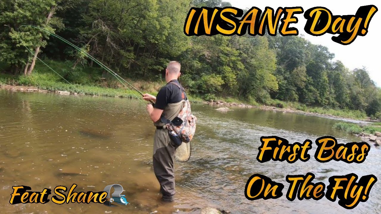 Stripping STREAMERS For Hungry SMALLMOUTH BASS! "Feat Shane" ( Fly