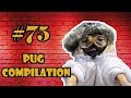 NEW ! Pug Compilation 75 - Funny Dogs but only Pug Videos MIX (46-47) | Instapugs