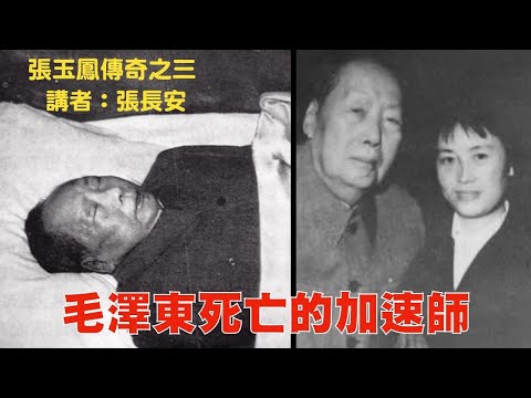 毛病医不好，宫廷内斗是最重要原因！玉凤瞎指挥，竟是魔头死亡加速师！（张玉凤传奇之三）2023年10月15日