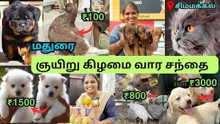 🐶 குறைந்த விலையில் செல்ல பிராணிகள் வாங்க | sunday pet market #madurai  | #pets #madurai2madras