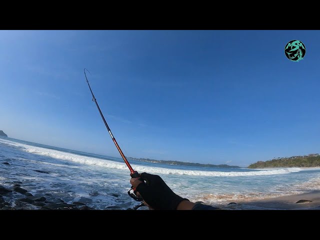 MANCING CASTING PANTAI SENDIKI | MENYUSURI SPOT MANCING PANTAI SENDIKI SAMPAI DERMAGA SENDANG BIRU MANCING CASTING PANTAI SENDIKI | MENYUSURI SPOT MANCING PANTAI SENDIKI SAMPAI DERMAGA SENDANG BIRU