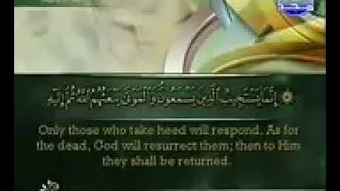 ورقة السادسة من الجزء السابع من سورة الأنعام الشيخ أحمد العجمي