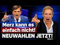Generalabrechnung mit Merz geht nach hinten los: AfD Bernd Baumann SPRICHT ES AUS!