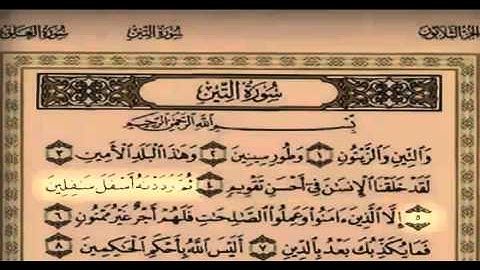 سلمان العتيبي - سورة التين