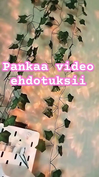 pliis - YouTube