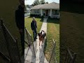 Hero German Shepherd Attacks Stranger &amp; Saves Home on CCTV! 🐕🚨