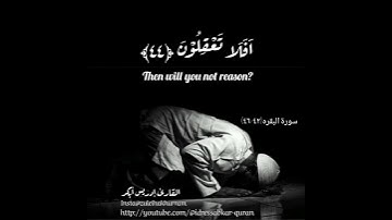 سورة البقره ٤٢-٤٦ بصوت الشيخ إدريس أبكر/Surah Baqarah by Sheikh Idress Abkar @idressabkar-quran