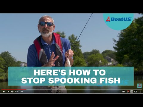 How To Stop Scaring Fish (What Fish Hear) | BoatUS