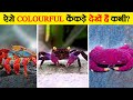 दुनिया के सबसे खूबसूरत केंकड़े | Most Beautiful Crabs in the World