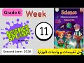حل تقييمات واجبات ساينس سادسة ابتدائي الاسبوع ١١ ترم ثاني  6 11  