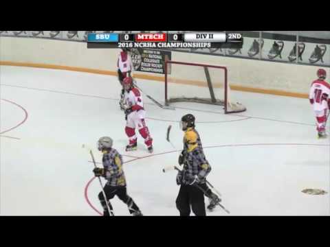 MTU Roller Hockey 2015-2016 National Tournament Video