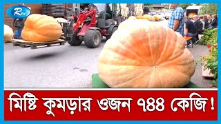 দানবীয় আকৃতির এক মিষ্টি কুমড়ার ওজন ৭৪৪ কেজি | Biggest Pumpkin | Rtv News