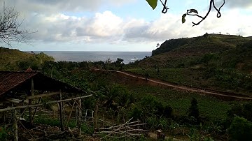JALAN menuju Pantai PANGI Blitar