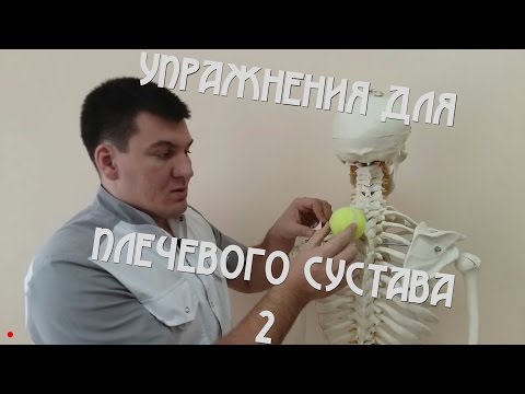 Упражнения для плечевого сустава. Часть 2.  Exercises for the shoulder joint. Part 2