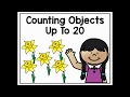 Counting Objects Quiz