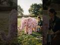 Baby Elephant Topiary Blooms Into Pink Flowers 🌸🐘