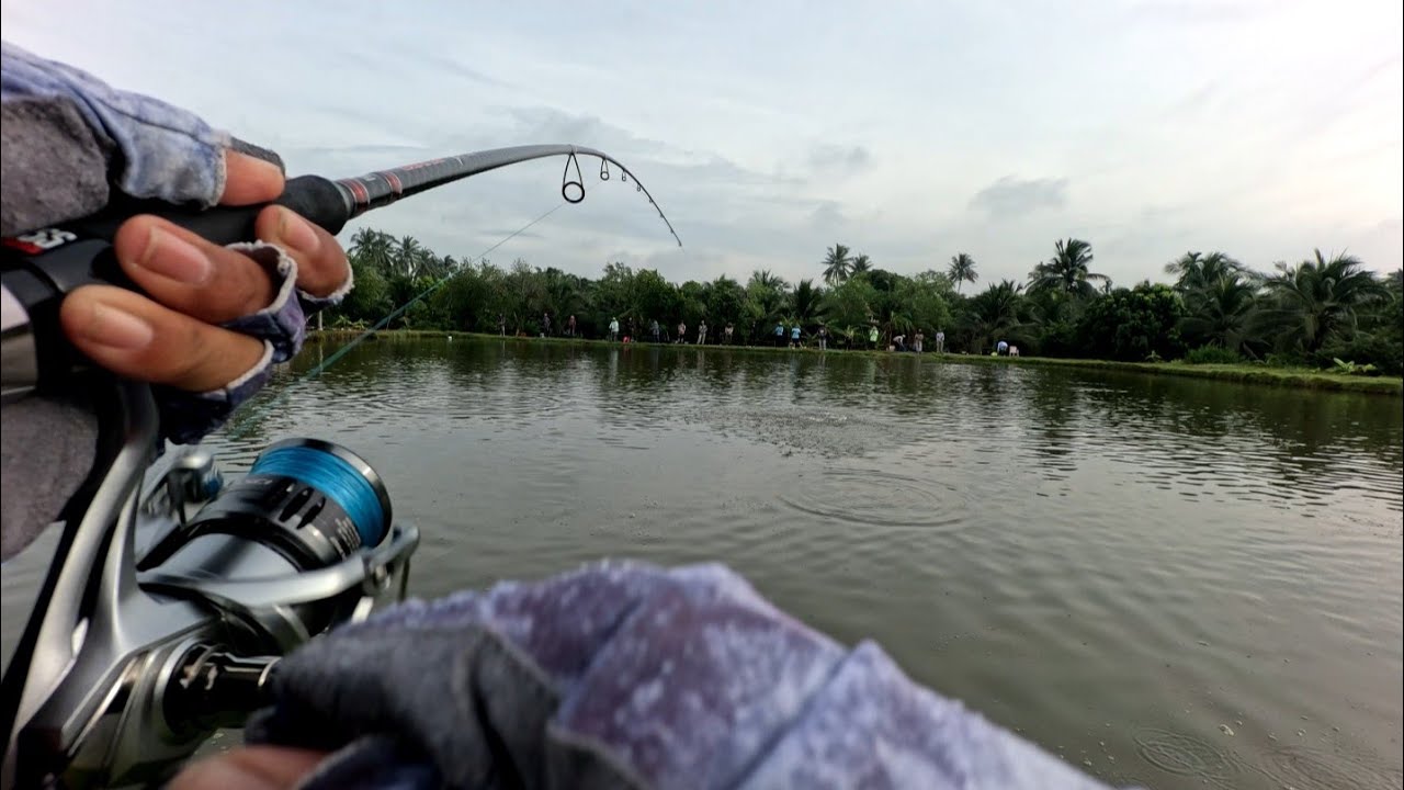 บ่อ [ Dm.กะพงบุฟเฟต์ ] หาปลากดคังกินสักตัว #กะพงบุฟเฟต์ #ตกปลากะพง