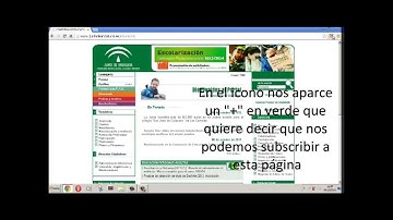 Google Chrome - RSS Feed Reader