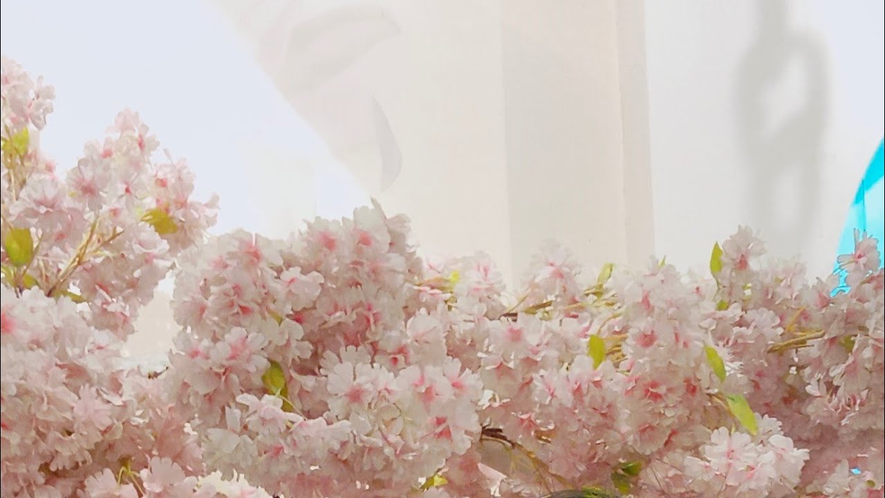 Nisha Sharma is live!