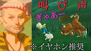 サクラダが魔物に襲われた時の叫び声聞いたことある？【ゼルダの伝説ブレスオブザワイルド】検証　実況