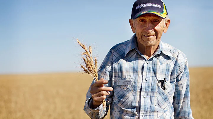 Organic Sprouted Vegan Wheat | Schmidt Family Farm