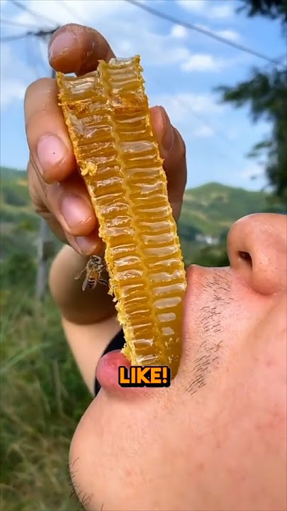 Don't Eat Honeycomb Like That—It Could Be Dangerous❗️