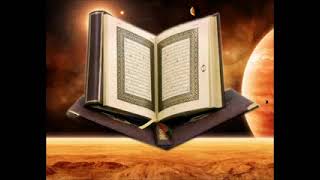 سورة الاحزاب بصوط هاني الرفاعي