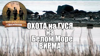 Охота на гуся на Белом море.  Вирма Республика Карелия.
