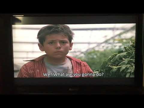 Touching Movie Moments: La Misma Luna (Under the Same Moon)