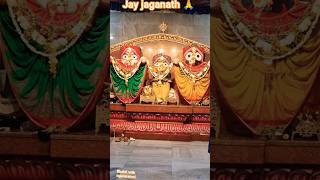 jay jaganath swami Nayana patha gami bhaba tume 🙏#vlog #daily #bhakti #shorts #bhajana #song #video