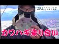 三重県御座港　2021/11/12　カワハギ乗り合い便