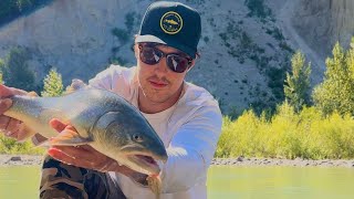 Backcountry Bull Trout Fly Fishing  Solo