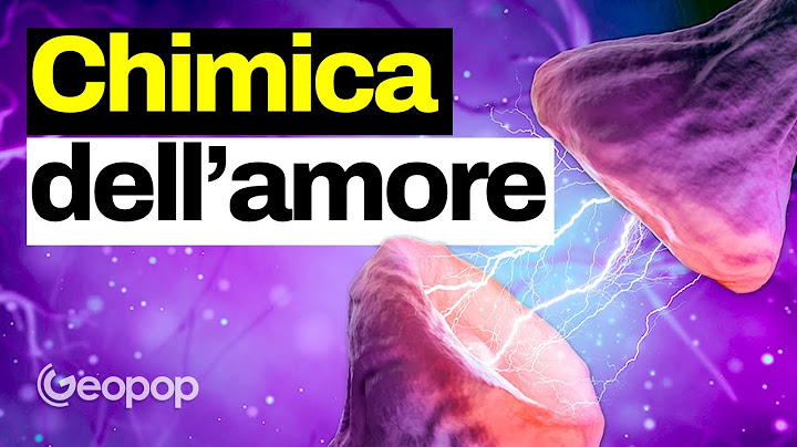 Cosa succede nel nostro cervello quando ci innamoriamo? La biochimica dell’amore